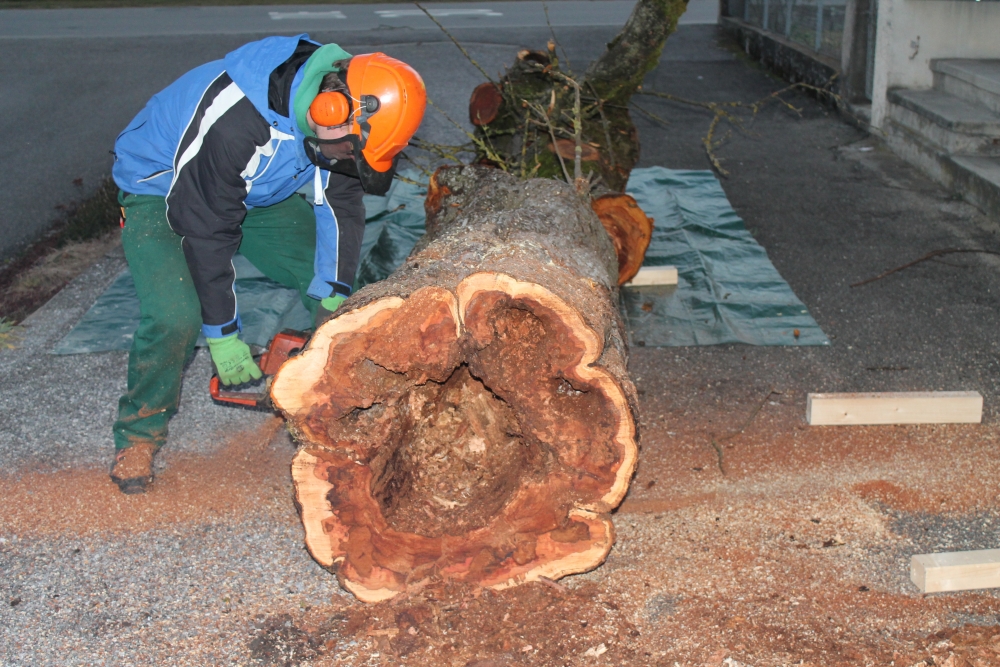 Apfelbaum