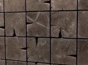 Shou-Sugi-Ban